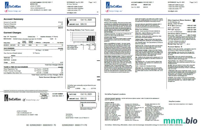 Szablon rachunku za media gazowe USA So Cal w formatach Word i PDF, 2 strony, Wersja 2